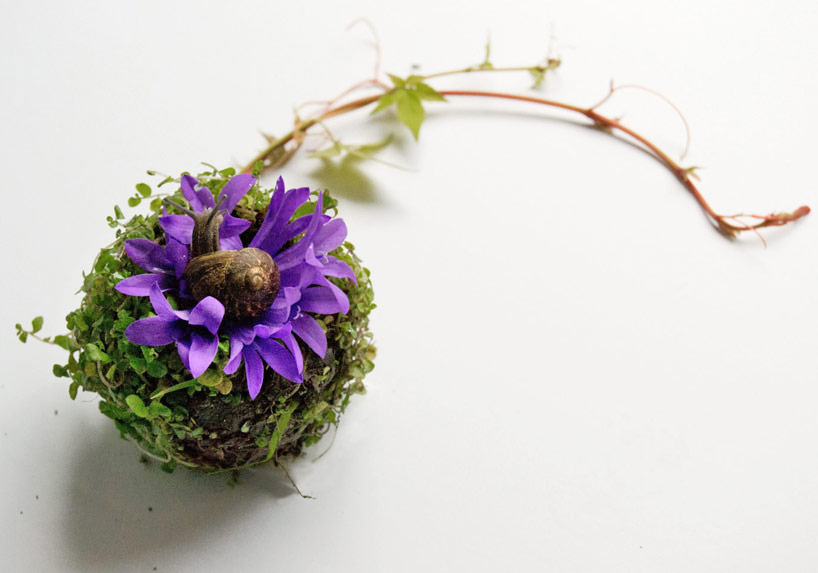 eyeball-by-camila-carlow