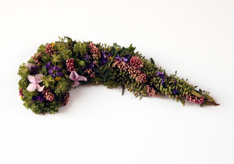 pancreas-by-camila-carlow