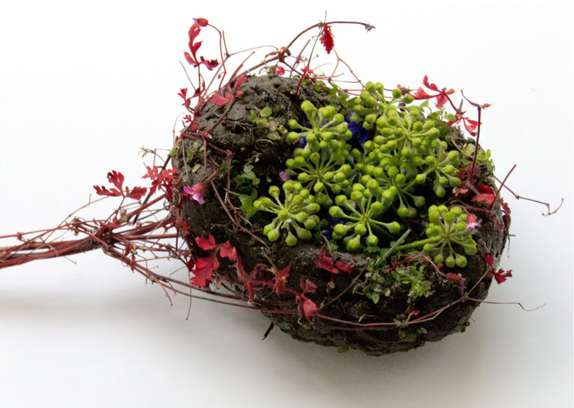 spleen-by-camila-carlow